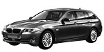 BMW F11 P100B Fault Code